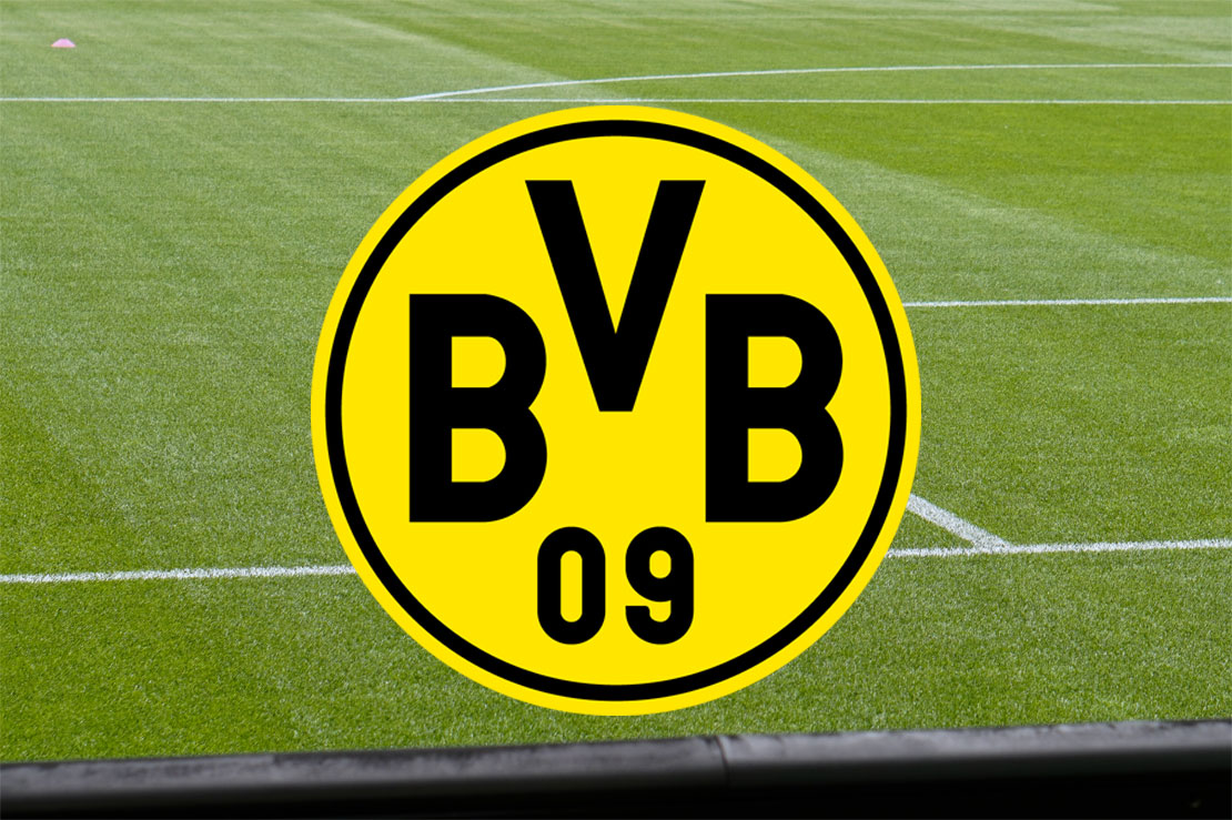 Logo des BVB mit Fußballfeld im Hintergrund
